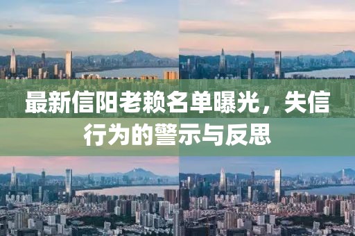 最新信阳老赖名单曝光，失信行为的警示与反思