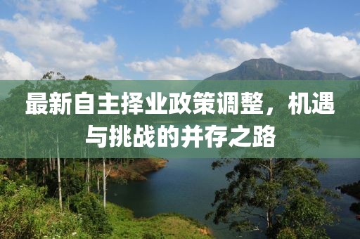 最新自主择业政策调整，机遇与挑战的并存之路