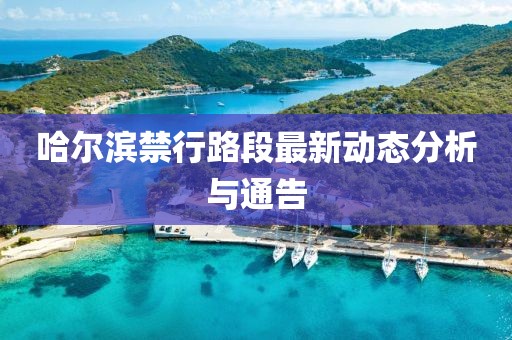 哈尔滨禁行路段最新动态分析与通告