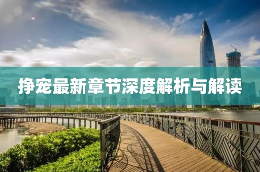 挣宠最新章节深度解析与解读