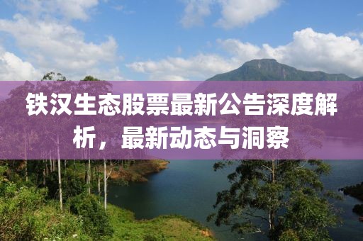 铁汉生态股票最新公告深度解析，最新动态与洞察