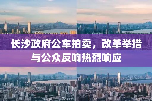 长沙政府公车拍卖，改革举措与公众反响热烈响应