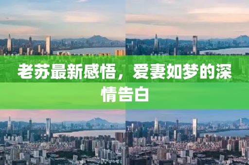 老苏最新感悟，爱妻如梦的深情告白