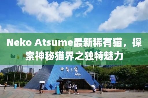 Neko Atsume最新稀有猫，探索神秘猫界之独特魅力
