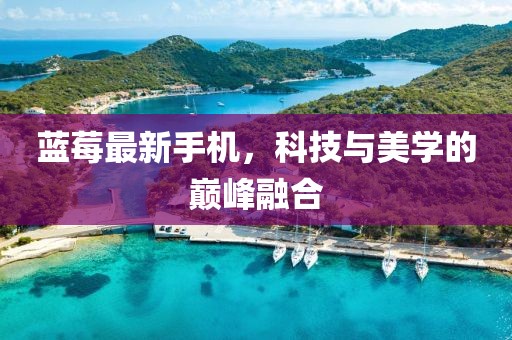 蓝莓最新手机，科技与美学的巅峰融合