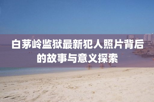 白茅岭监狱最新犯人照片背后的故事与意义探索