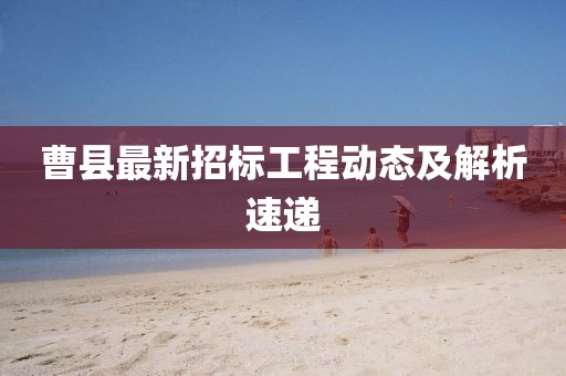 曹县最新招标工程动态及解析速递