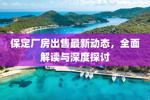 保定厂房出售最新动态，全面解读与深度探讨