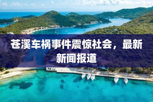无妻徒刑 第6页