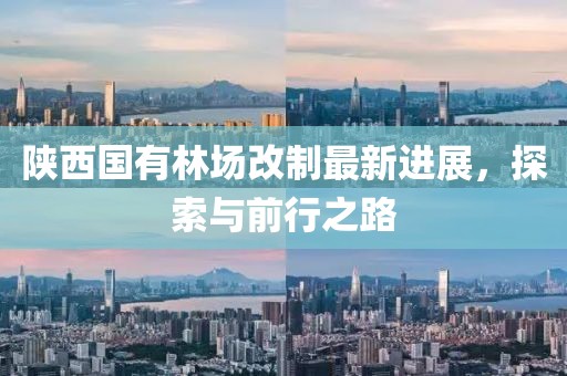 陕西国有林场改制最新进展，探索与前行之路