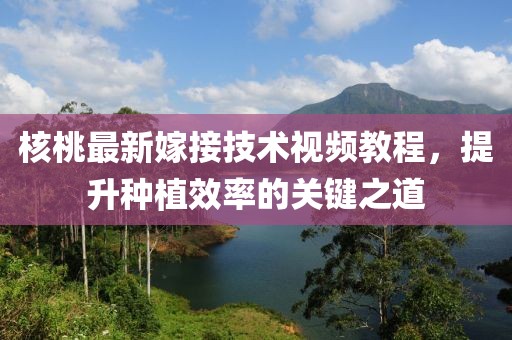核桃最新嫁接技术视频教程，提升种植效率的关键之道