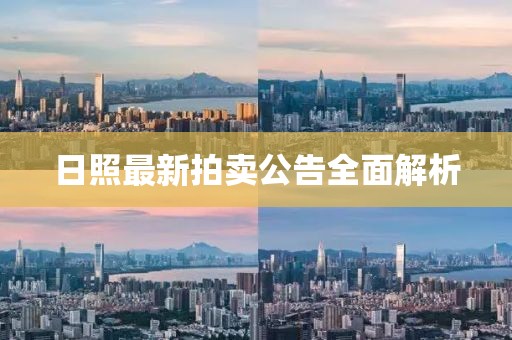 日照最新拍卖公告全面解析