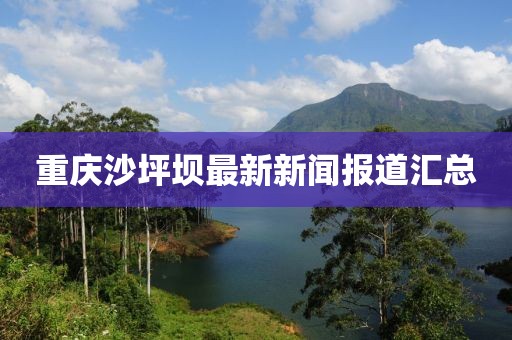 重庆沙坪坝最新新闻报道汇总