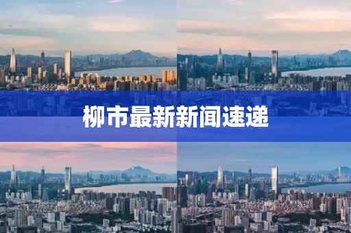 柳市最新新闻速递