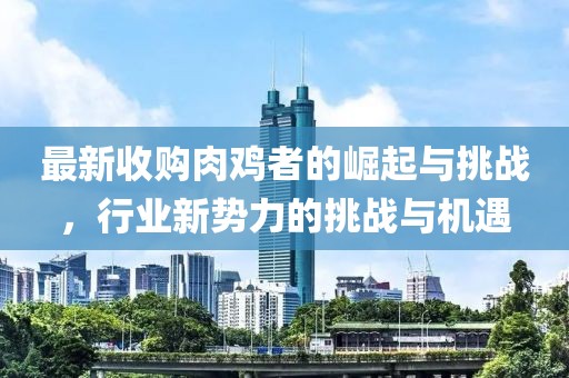 最新收购肉鸡者的崛起与挑战，行业新势力的挑战与机遇