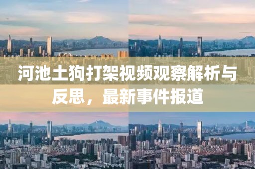 河池土狗打架视频观察解析与反思，最新事件报道