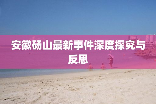 安徽砀山最新事件深度探究与反思