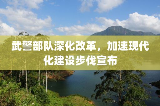 武警部队深化改革，加速现代化建设步伐宣布