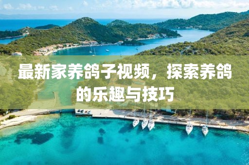 最新家养鸽子视频，探索养鸽的乐趣与技巧