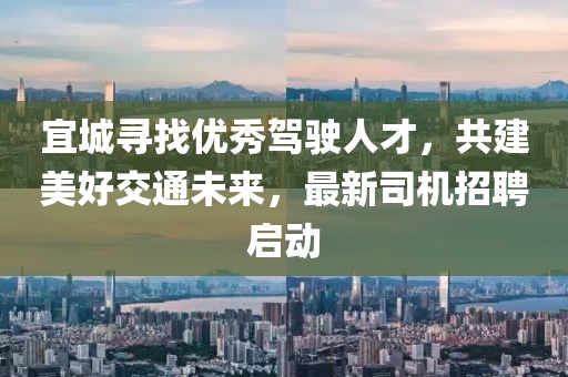 宜城寻找优秀驾驶人才，共建美好交通未来，最新司机招聘启动