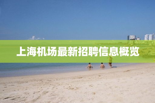 上海机场最新招聘信息概览