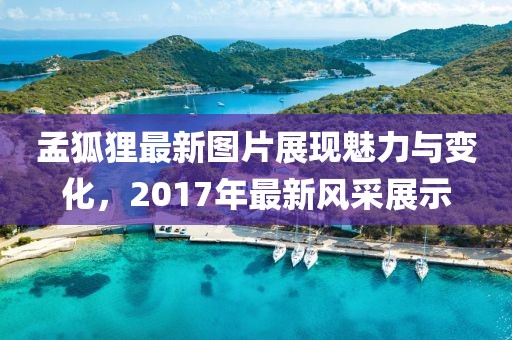 孟狐狸最新图片展现魅力与变化，2017年最新风采展示