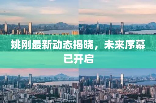 姚刚最新动态揭晓，未来序幕已开启