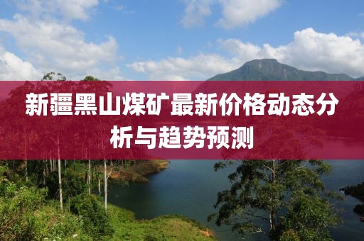 新疆黑山煤矿最新价格动态分析与趋势预测