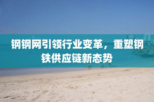 钢钢网引领行业变革，重塑钢铁供应链新态势
