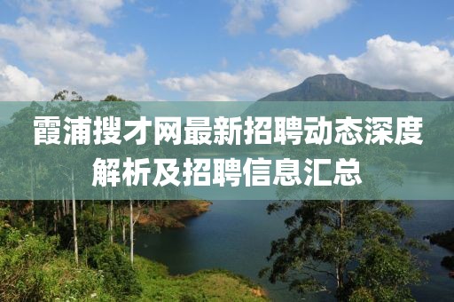 霞浦搜才网最新招聘动态深度解析及招聘信息汇总