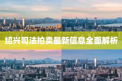 绍兴司法拍卖最新信息全面解析