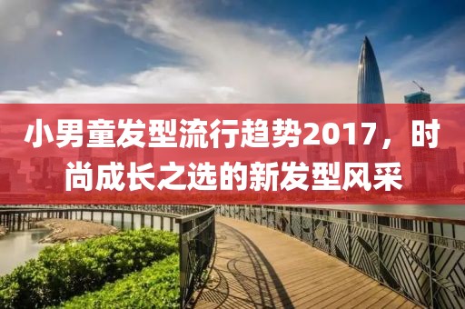 小男童发型流行趋势2017，时尚成长之选的新发型风采