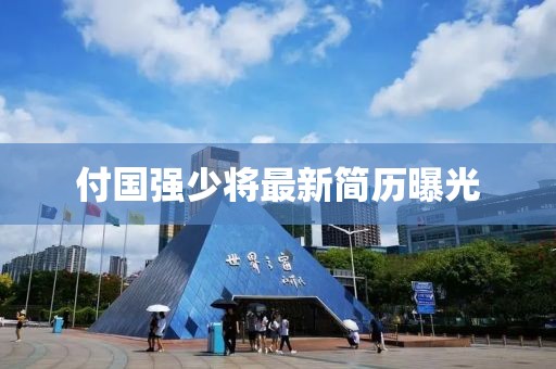 付国强少将最新简历曝光