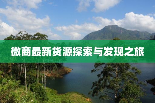 微商最新货源探索与发现之旅