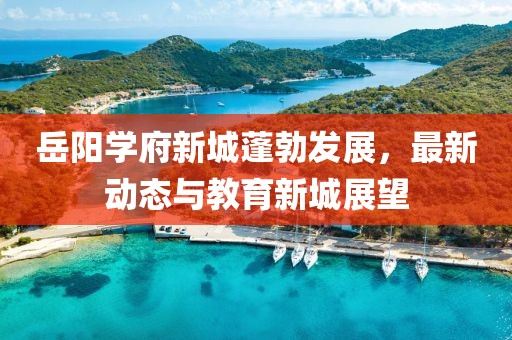岳阳学府新城蓬勃发展，最新动态与教育新城展望