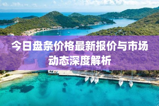 今日盘条价格最新报价与市场动态深度解析