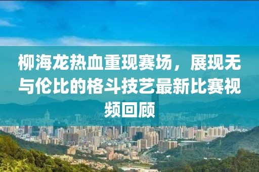 柳海龙热血重现赛场，展现无与伦比的格斗技艺最新比赛视频回顾