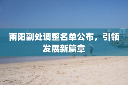 南阳副处调整名单公布，引领发展新篇章