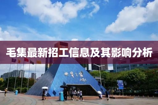 毛集最新招工信息及其影响分析