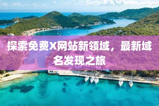 探索免费X网站新领域，最新域名发现之旅