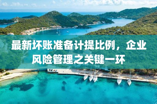 最新坏账准备计提比例，企业风险管理之关键一环