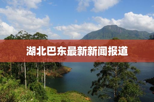 湖北巴东最新新闻报道