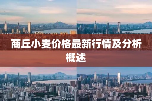 商丘小麦价格最新行情及分析概述