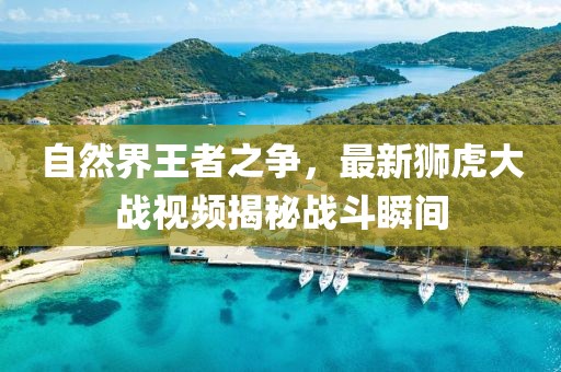 自然界王者之争，最新狮虎大战视频揭秘战斗瞬间
