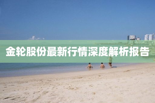 金轮股份最新行情深度解析报告