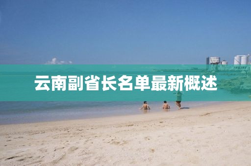 云南副省长名单最新概述