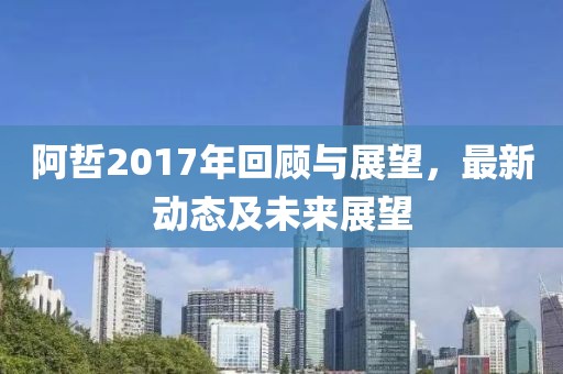 阿哲2017年回顾与展望，最新动态及未来展望