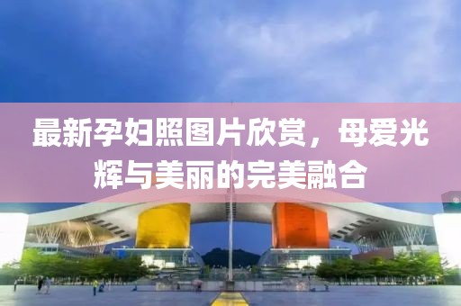 最新孕妇照图片欣赏，母爱光辉与美丽的完美融合