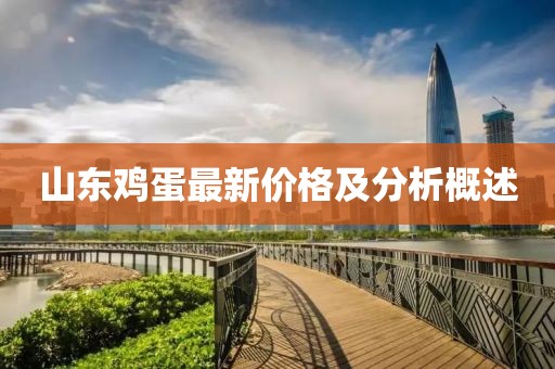 山东鸡蛋最新价格及分析概述