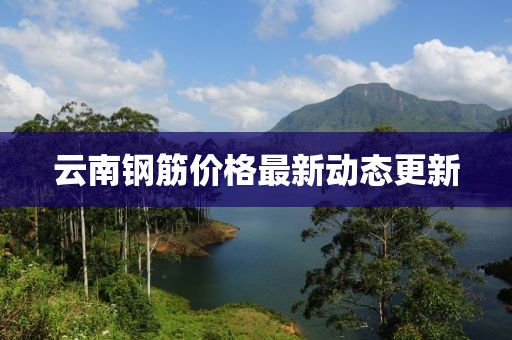云南钢筋价格最新动态更新